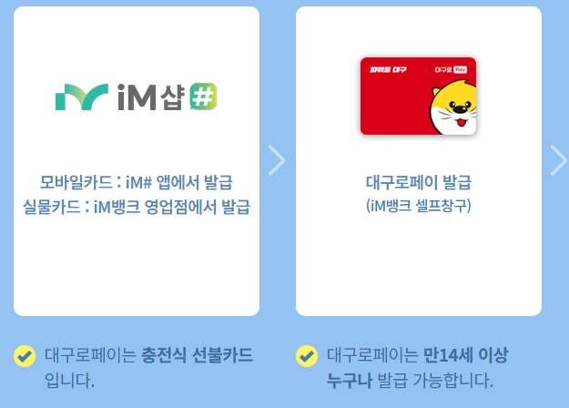 대구로페이_발급