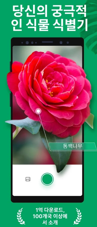 사진으로-꽃이름-찾기_검색