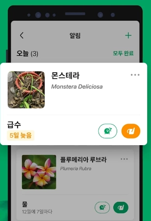 사진으로-식물이름-찾기_급수
