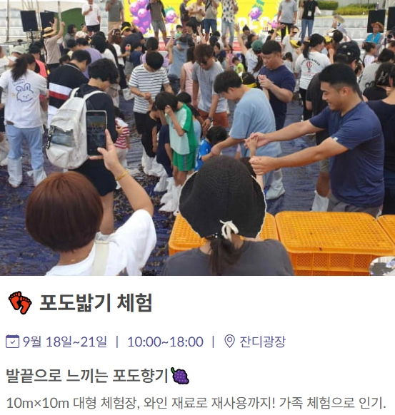 영동-포도축제_체험