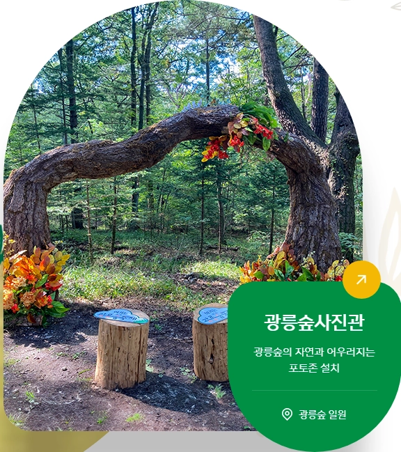 제20회-광릉숲축제_프로그램