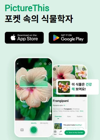 식물이름-찾기-무료어플