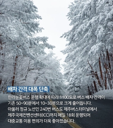 한라산-눈꽃버스-노선