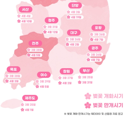2026-경주-벚꽃-개화시기